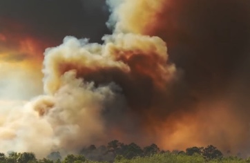 How can you prepare for the most immediate impacts of climate change