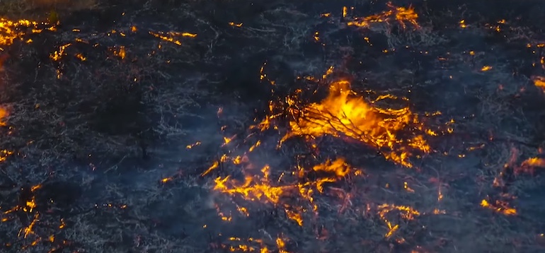 How can you prepare for the most immediate impacts of climate change