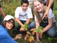 planting-party-in-canada