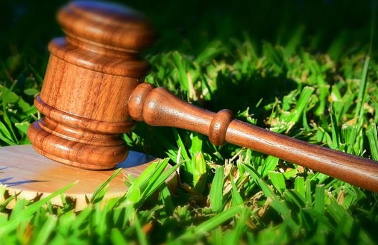 western-environmental-law-center